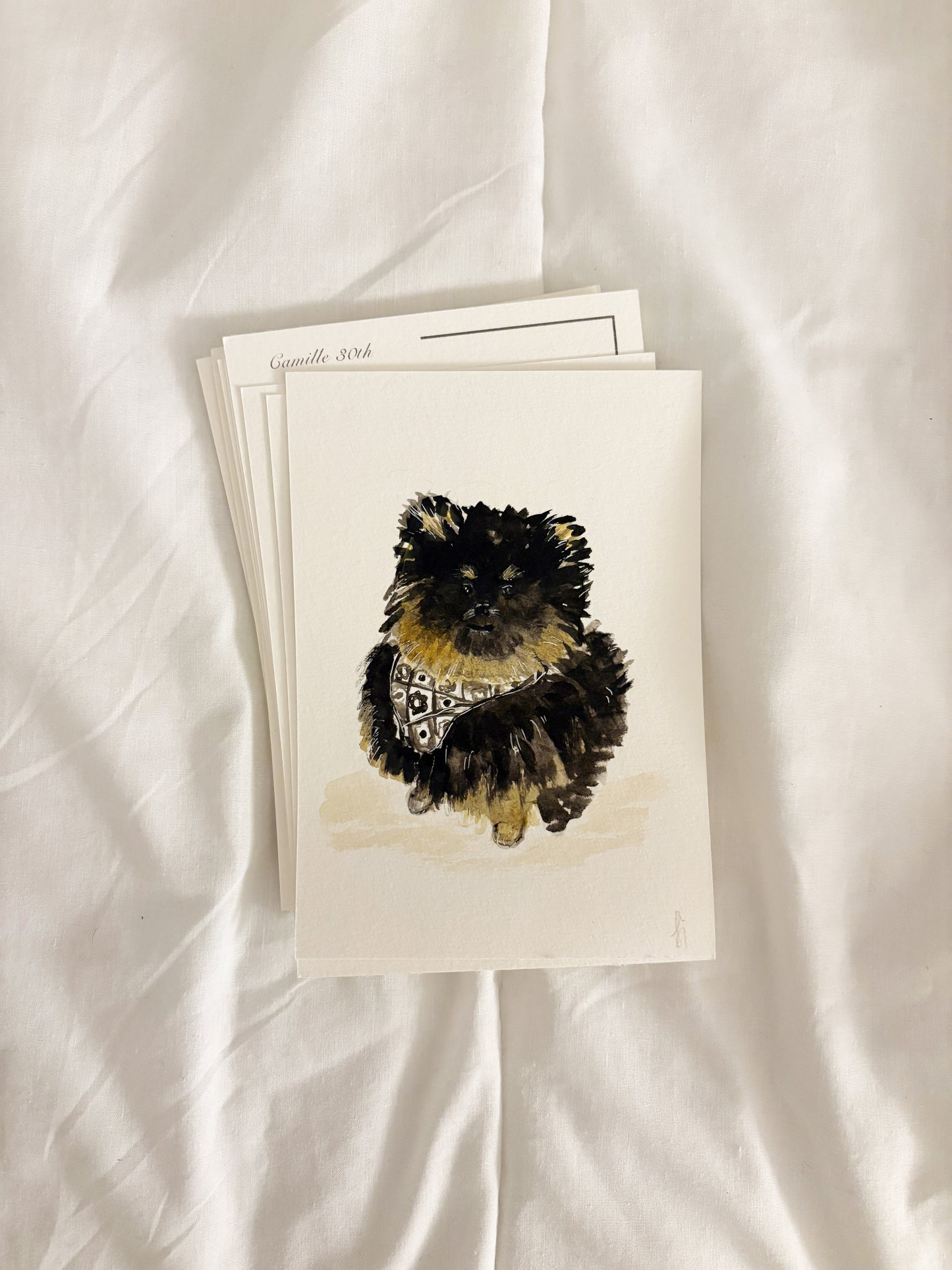 Animal Portrait - Aquarelle